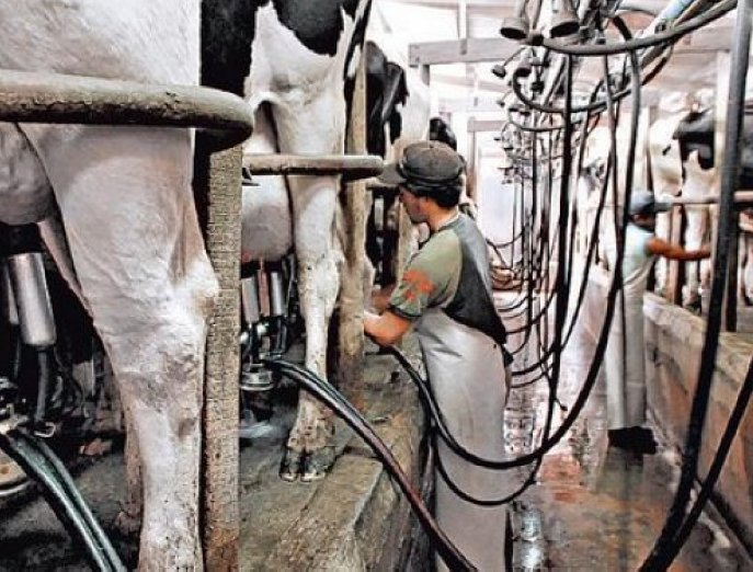 Más de 1500 productores se inscribieron en el programa 