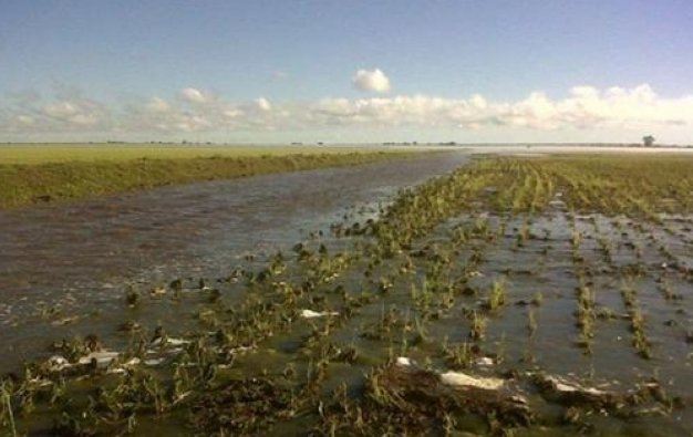 En el Departamento San Justo la piedra arrasó con casi 30 mil hectáreas