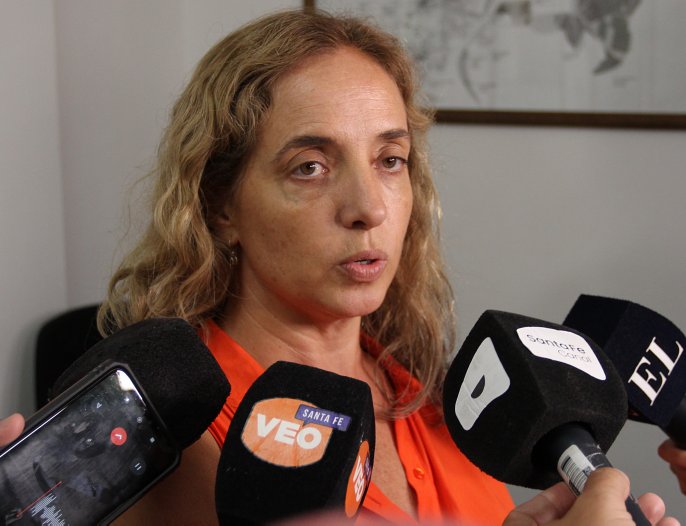 Avanzan los contagios de dengue en la provincia de Santa Fe