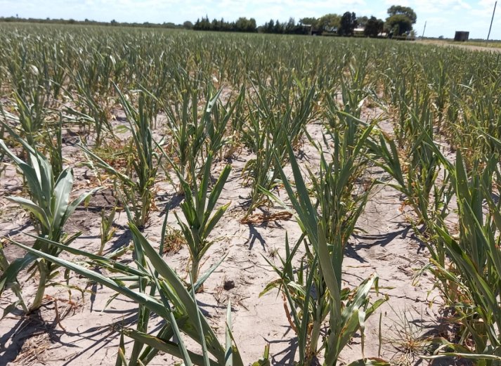 La provincia transfirió 900 millones a productores afectados por la sequía