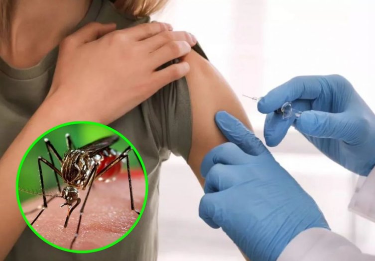 La ANMAT aprobó el uso de la vacuna del laboratorio Takeda contra el dengue