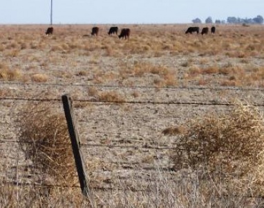 Piden que se extienda la Emergencia Agropecuaria en la provincia