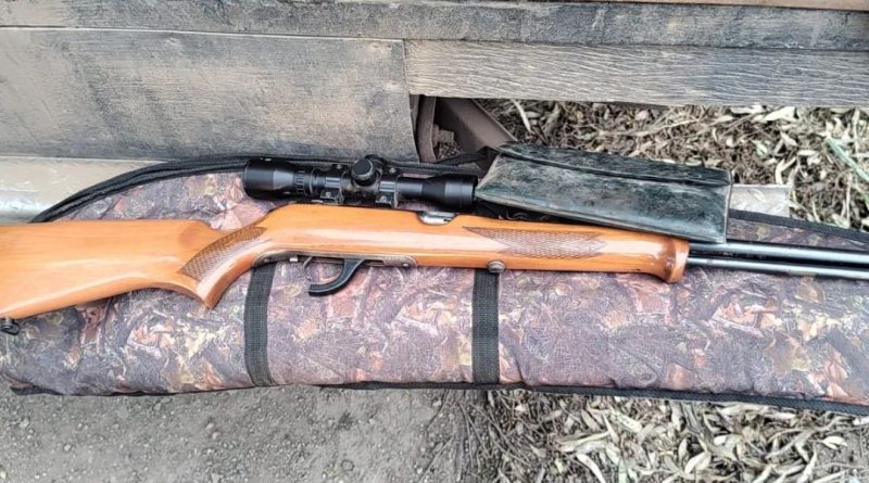 Fue aprehendido por tenencia de arma de fuego