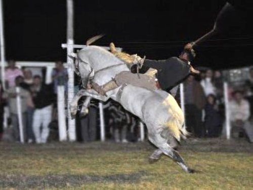 Joven lesionado al caerse del caballo en una doma en Arrufó