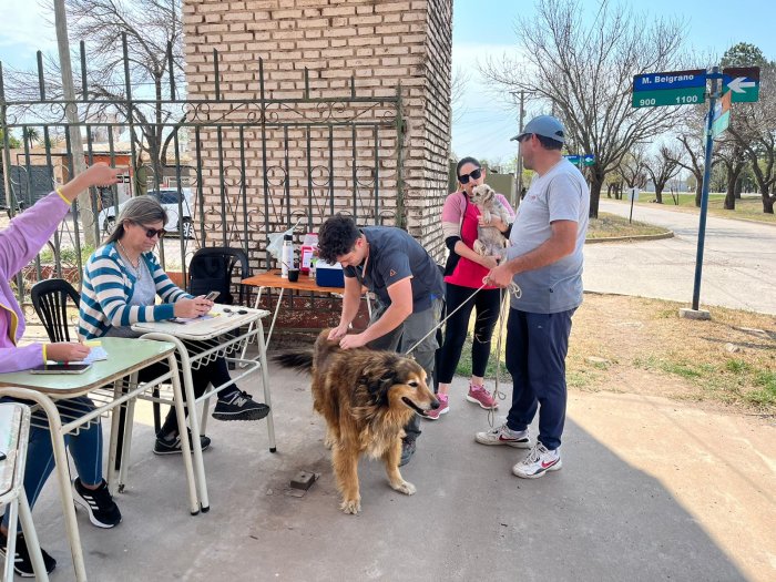 Suardi: Se vacunaron 400 perros y gatos en la campaña antirrábica