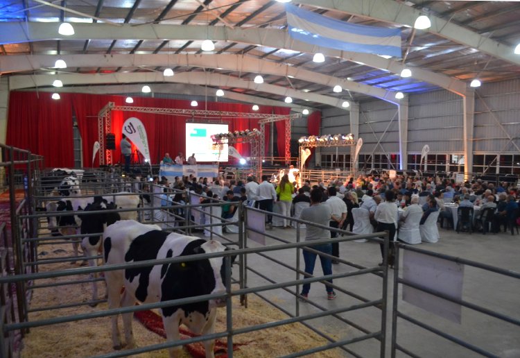 Morteros: Pagaron 20 millones por un toro genómico en el remate de Genética Ganadera