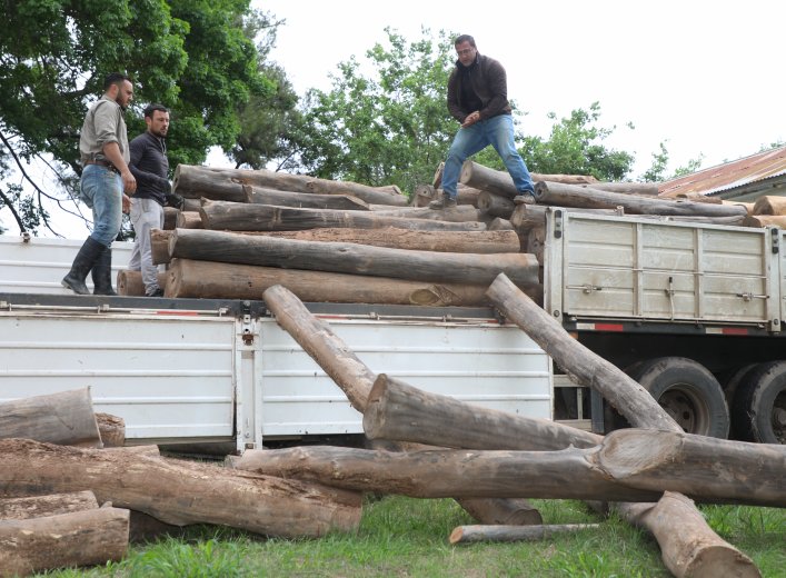 Gendarmería de Ceres secuestró un cargamento de palo santo