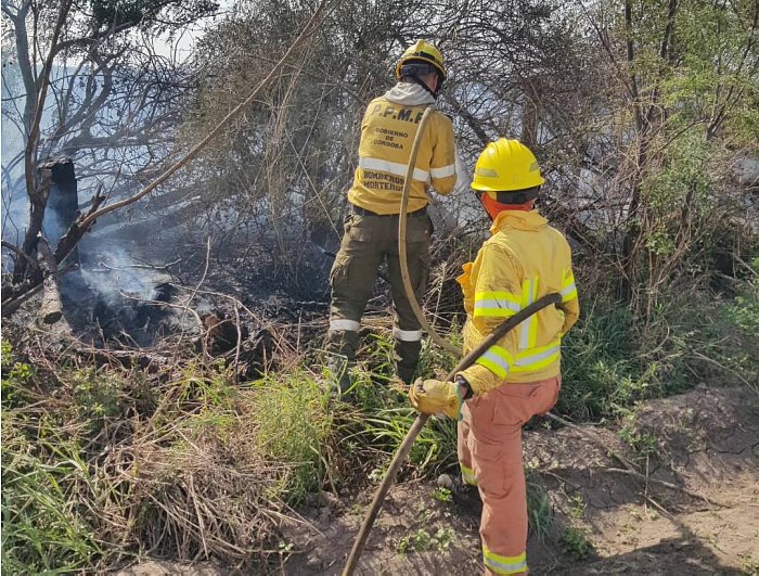 Importante incendio en un campo de Col. Maunier Centro