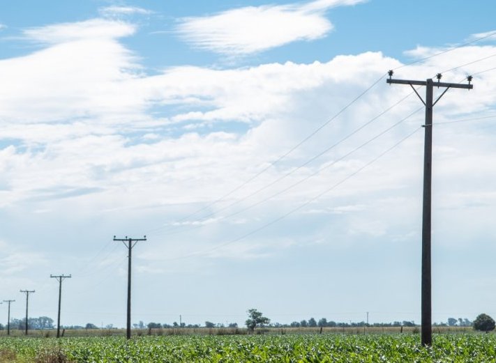 Michlig pidió que se prorrogue la vigencia del Fondo de Electrificación Rural