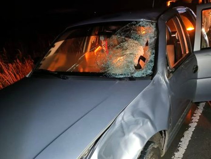 Automovilista chocó un caballo en cercanías de Freyre