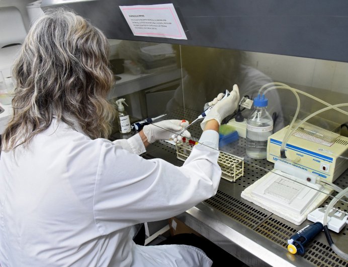 La Encefalitis Equina se podrá detectar en laboratorios públicos de la provincia