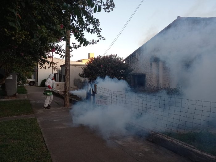 Suardi: Aumentan los casos de dengue y ahora realizan fumigaciones masivas