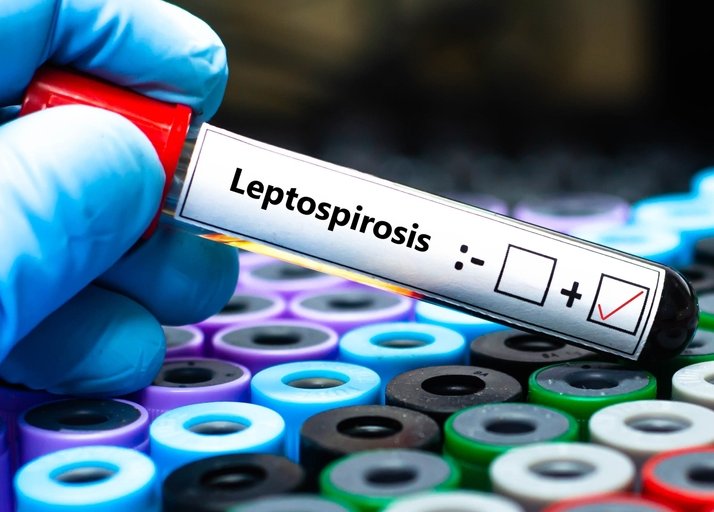 Suardi: El municipio confirmó un caso de leptospirosis en un perro