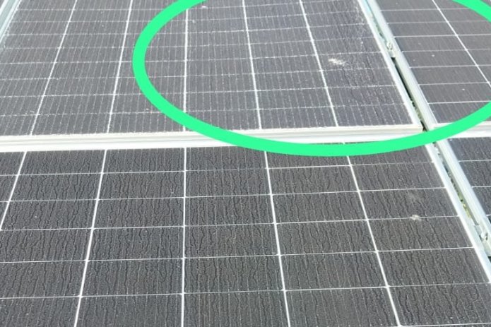 Vandalismo en el parque fotovoltaico de CoopMorteros