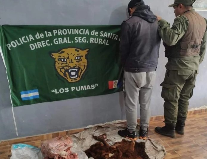 Esclarecieron un hecho de abigeato en Hersilia