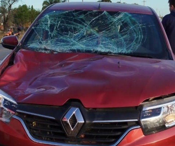 Otro accidente con un caballo en el acceso norte de Morteros