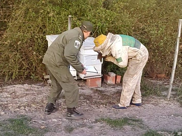 Guardia 