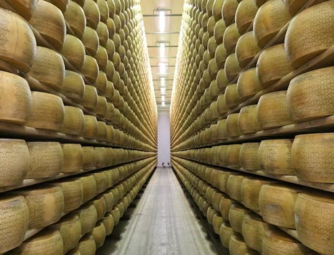Suspendieron el remate de casi 700 mil kgs. de quesos de SanCor