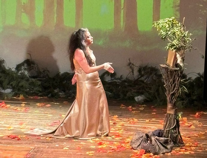 Festival de Teatro: Erica Rivas mostró su talento artístico en 