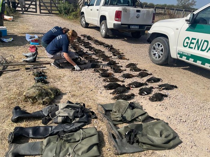 Condenaron a un guía por caza furtiva con extranjeros