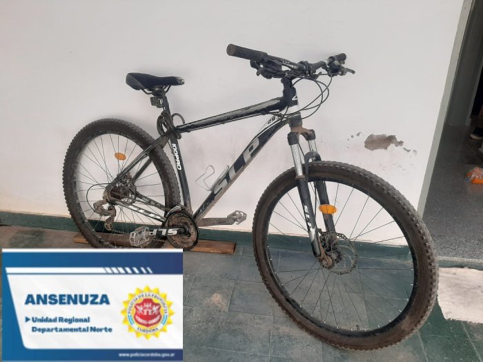 Brinkmann: Detenido por robar una bicicleta y allanamientos en la causa Aralí