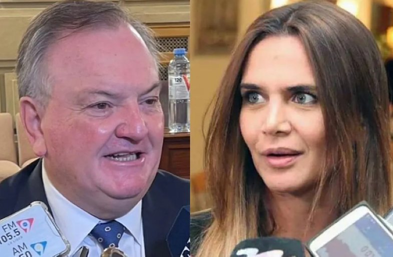 Michlig contestó las críticas de Amalia Granata y marcó diferencias