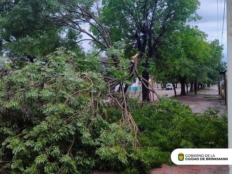 Brinkmann sufrió los embates de una nueva tormenta