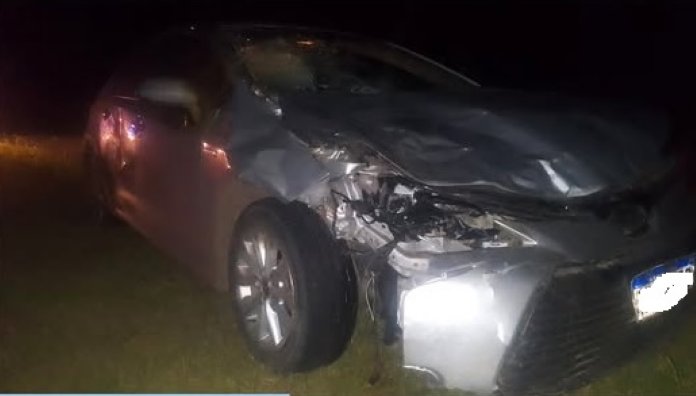Automovilista chocó vacunos en zona rural de Ambrosetti 