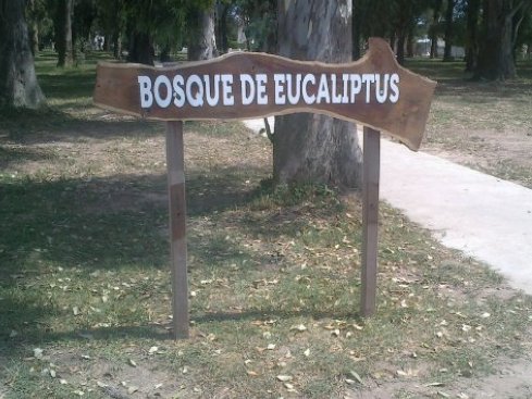 ¿Revanchismo político con un cartel en Moisés Ville?