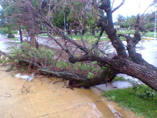 La lluvia trajo alivio luego de jornadas agobiantes