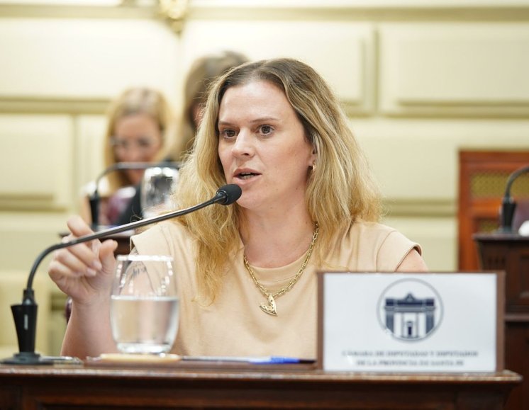 Masutti presentó un proyecto de ley para que la nueva Constitución tenga presente a niños y adolescentes