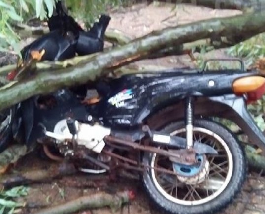 Aldao: Dos motociclistas heridos por la caída de un árbol durante la tormenta
