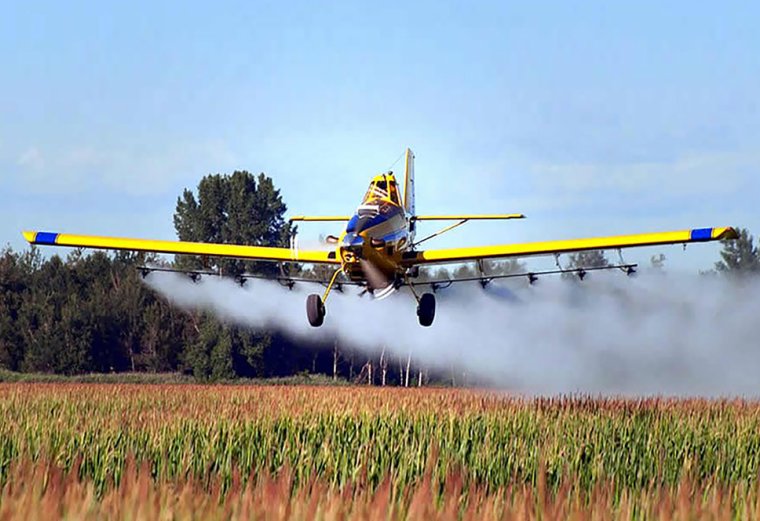 La Corte reconoce el daño genético por agroquímicos y ordena frenar fumigaciones en Piamonte