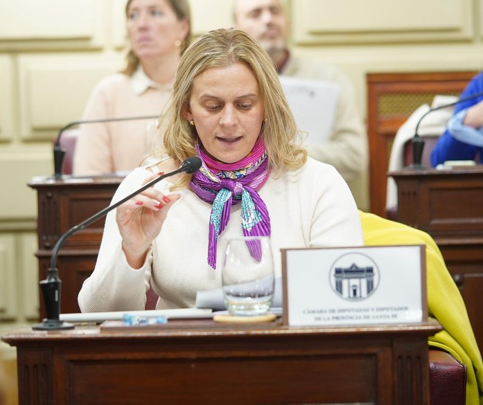 Masutti: “En cada escuela, se podrá conocer y debatir sobre el proceso de Reforma de la Constitución”