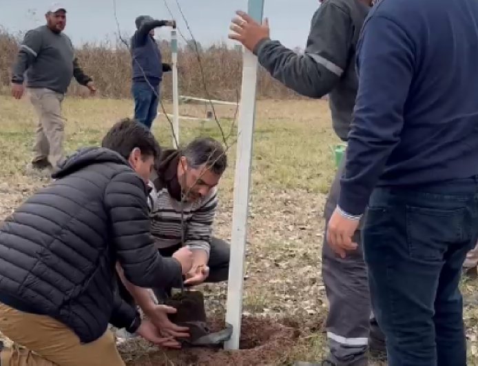 Brinkmann sigue forestando el acceso sur de la ciudad