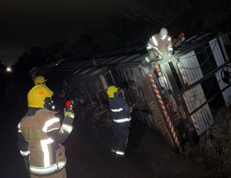 Morteros: el vuelco de un camión causó la muerte de numerosos vacunos