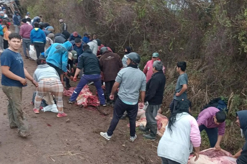 Desesperación por un pedazo de carne en Morteros