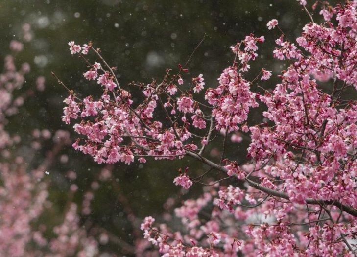 Temperaturas más altas y contrastes en las precipitaciones para la primavera 2025