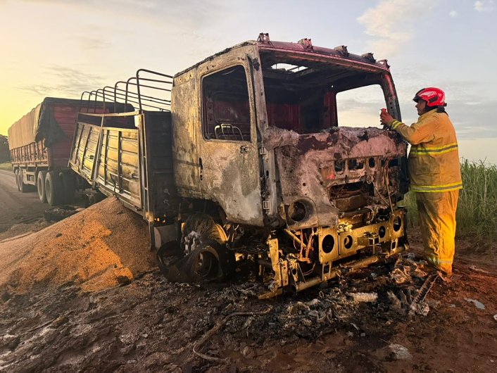 Un camión se incendió en zona rural de Col. Rosa
