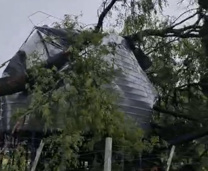 Fuerte temporal provocó daños en zonas urbana y rural de Col. Rosa