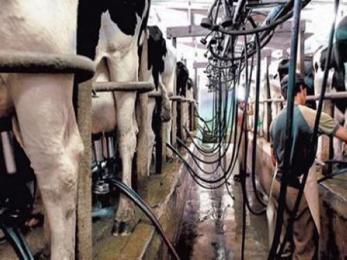 Fuerte comunicado de productores por el intento de bajar el precio de la leche