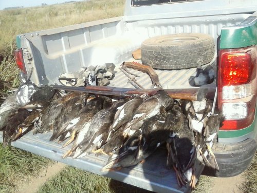 Importantes decomisos a cazadores y pescadores furtivos