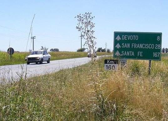 Devoto: Una mujer herida al volcar con su auto en ruta 19