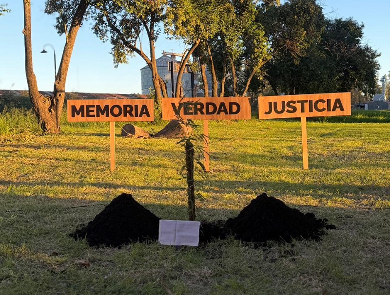 Suardi: robaron el algarrobo recién plantado por el Día de la Memoria