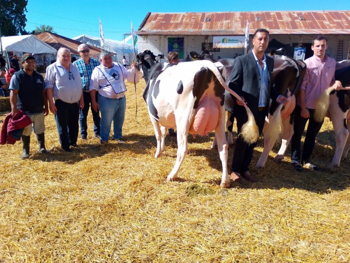 Cabaña Mundo Gen se destacó en la Expo Provincial de la Leche de Nogoyá