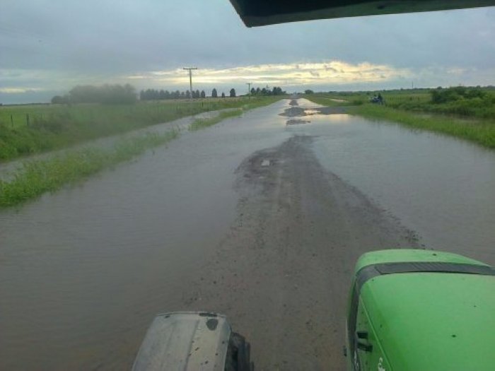 Santa Fe acordó medidas con Senasa para asistir al sector productivo por las inundaciones