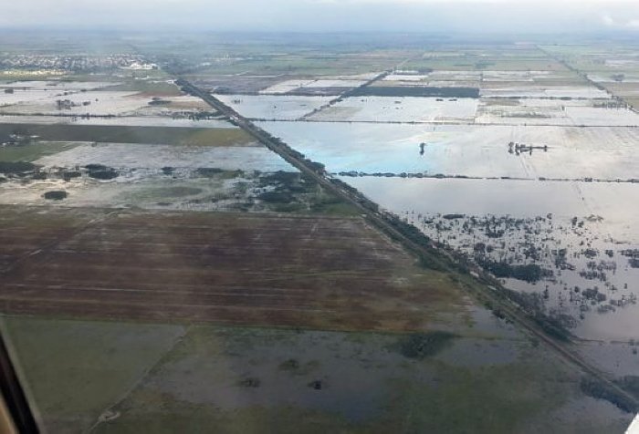 Santa Fe declaró la emergencia agropecuaria por inundaciones en el norte provincial