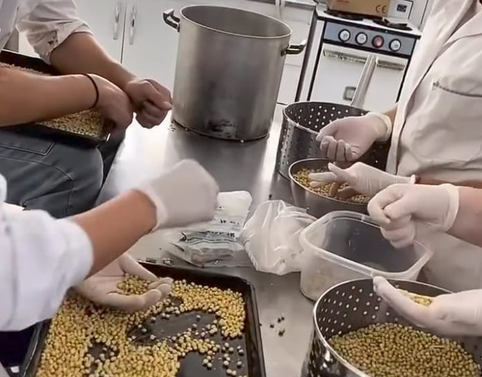 La Escuela Técnica de Suardi lanza una nueva variedad de milanesas de soja