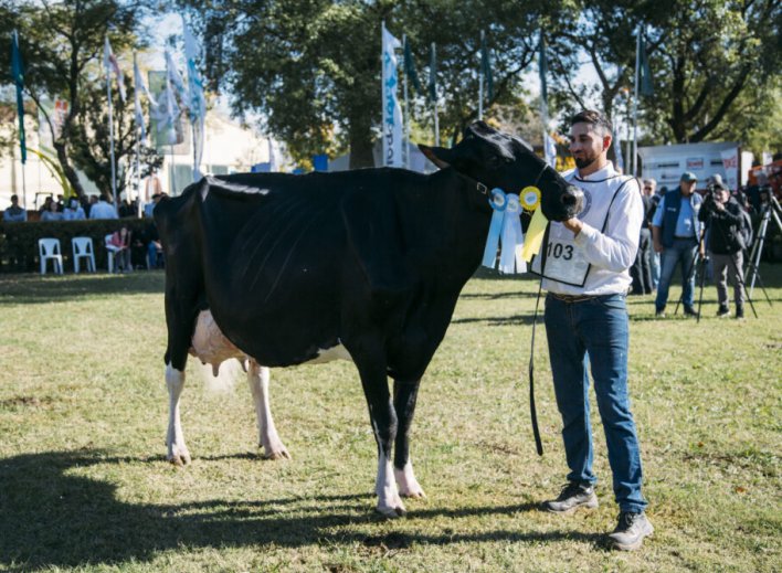 Cabaña La Lilia se consagró en TodoLáctea con la Gran Campeón Hembra y el Gran Campeón Macho