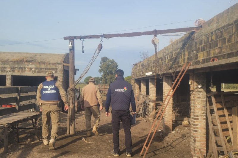 Clausuran un matadero clandestino en Miramar y decomisan 100 kilos de carne porcina